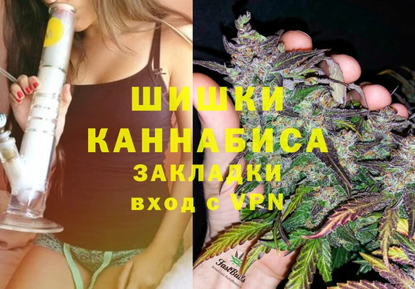 амф Богданович