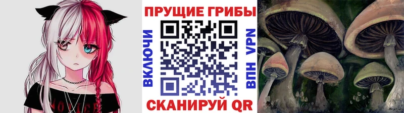 Галлюциногенные грибы прущие грибы  Видное 