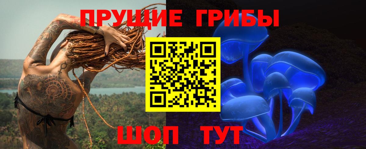 Галлюциногенные грибы GOLDEN TEACHER  Галлюциногенные грибы Cubensis  Вход с VPN  Видное 
