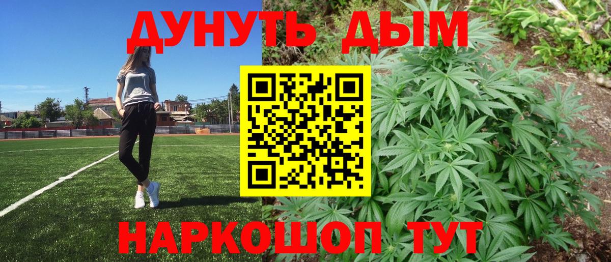 Бошки Шишки сатива  Каннабис план  Видное  Вход с VPN 
